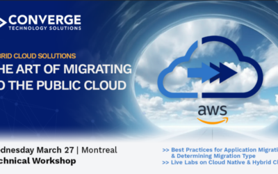 The Art of Migrating to the Public Cloud