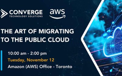 The Art of Migrating to the Public Cloud